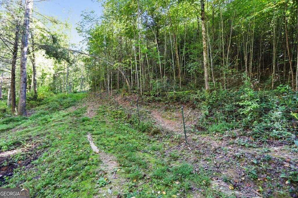 643 White Pine Road Mccaysville - 53