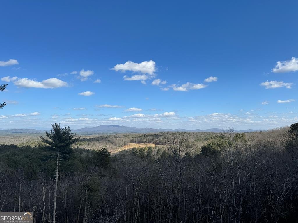 643 White Pine Road Mccaysville - 58