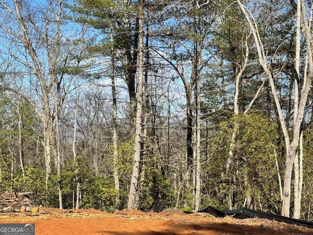 643 White Pine Road Mccaysville - 60