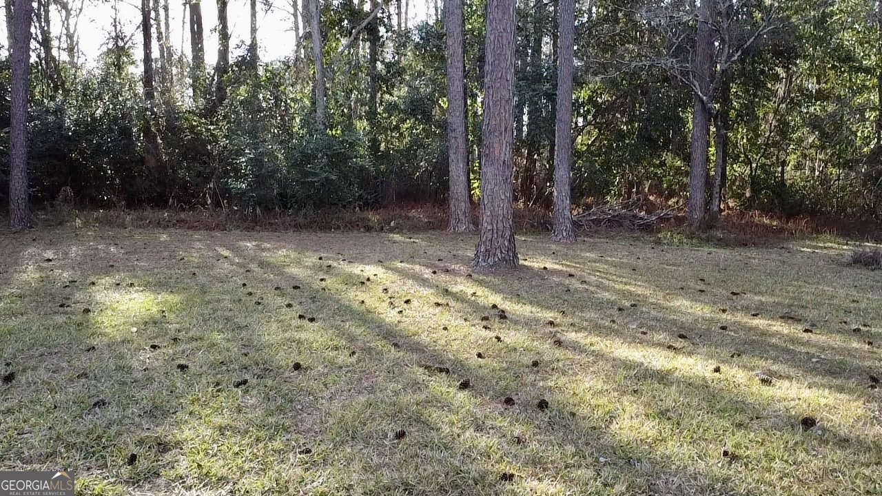 1075 Wildwood Road Waycross - 40