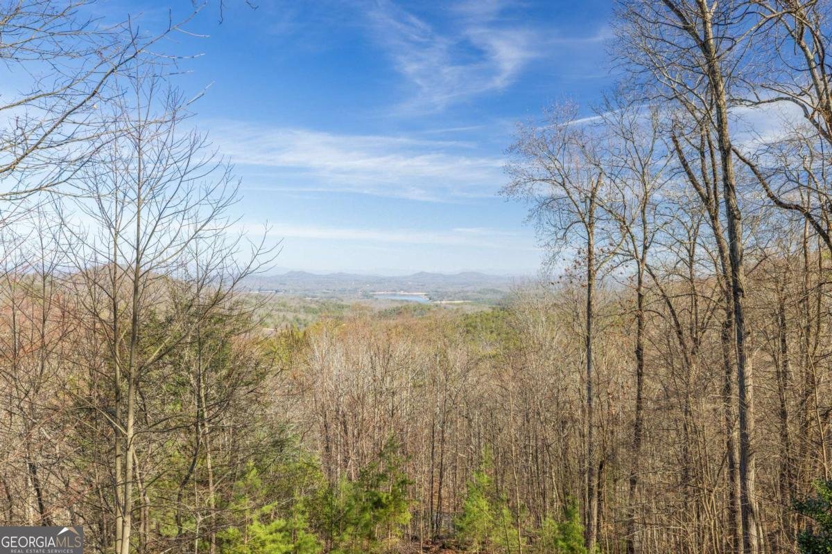181 Ridge Circle Blue Ridge - 2