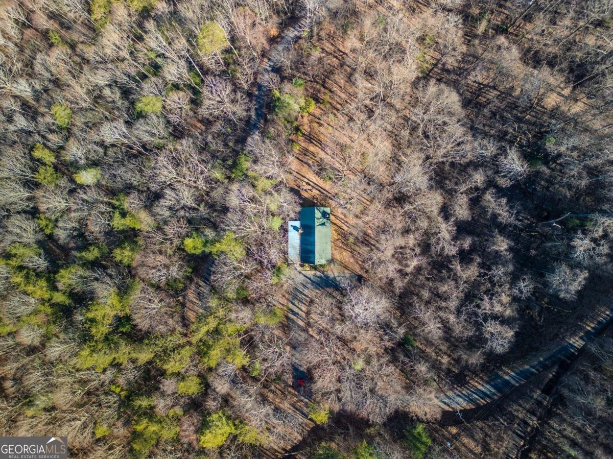 181 Ridge Circle Blue Ridge - 47