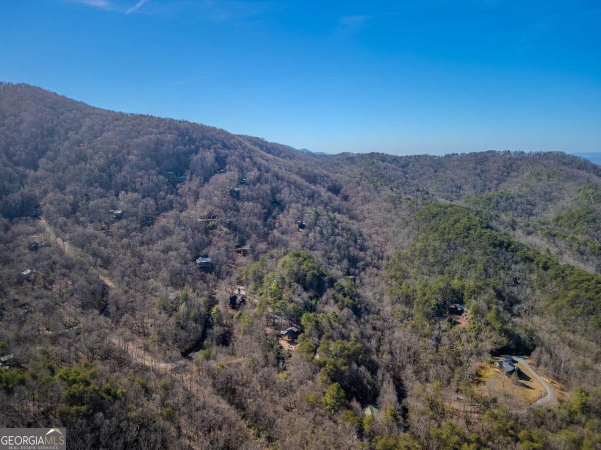 181 Ridge Circle Blue Ridge - 49