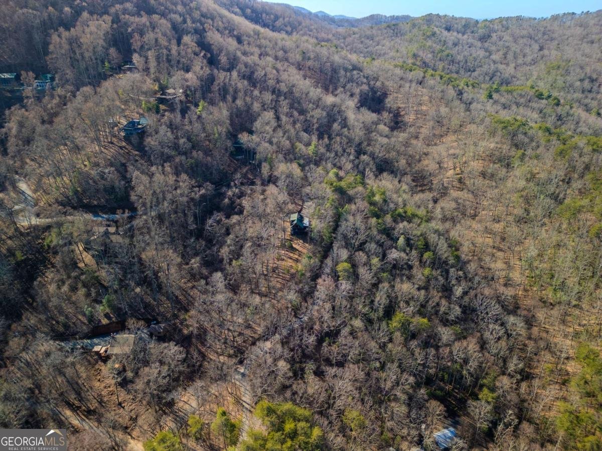 181 Ridge Circle Blue Ridge - 50