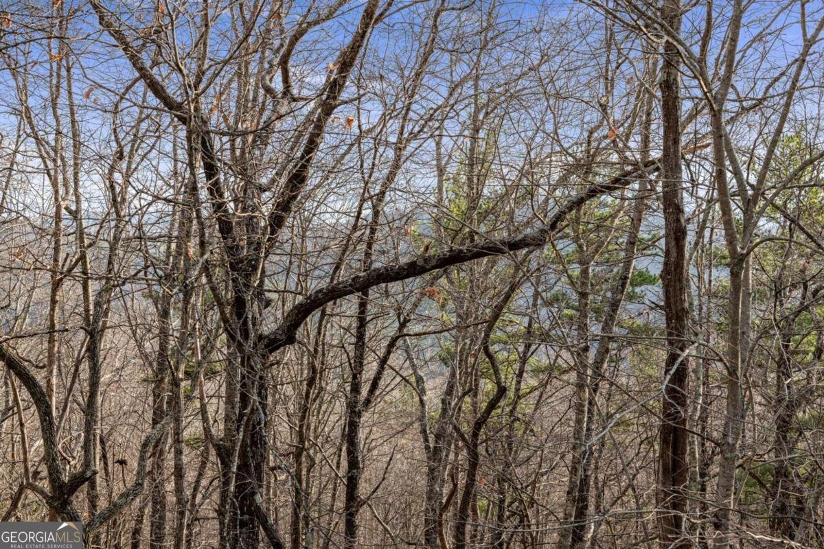 380 Oak Ridge Way Morganton - 75