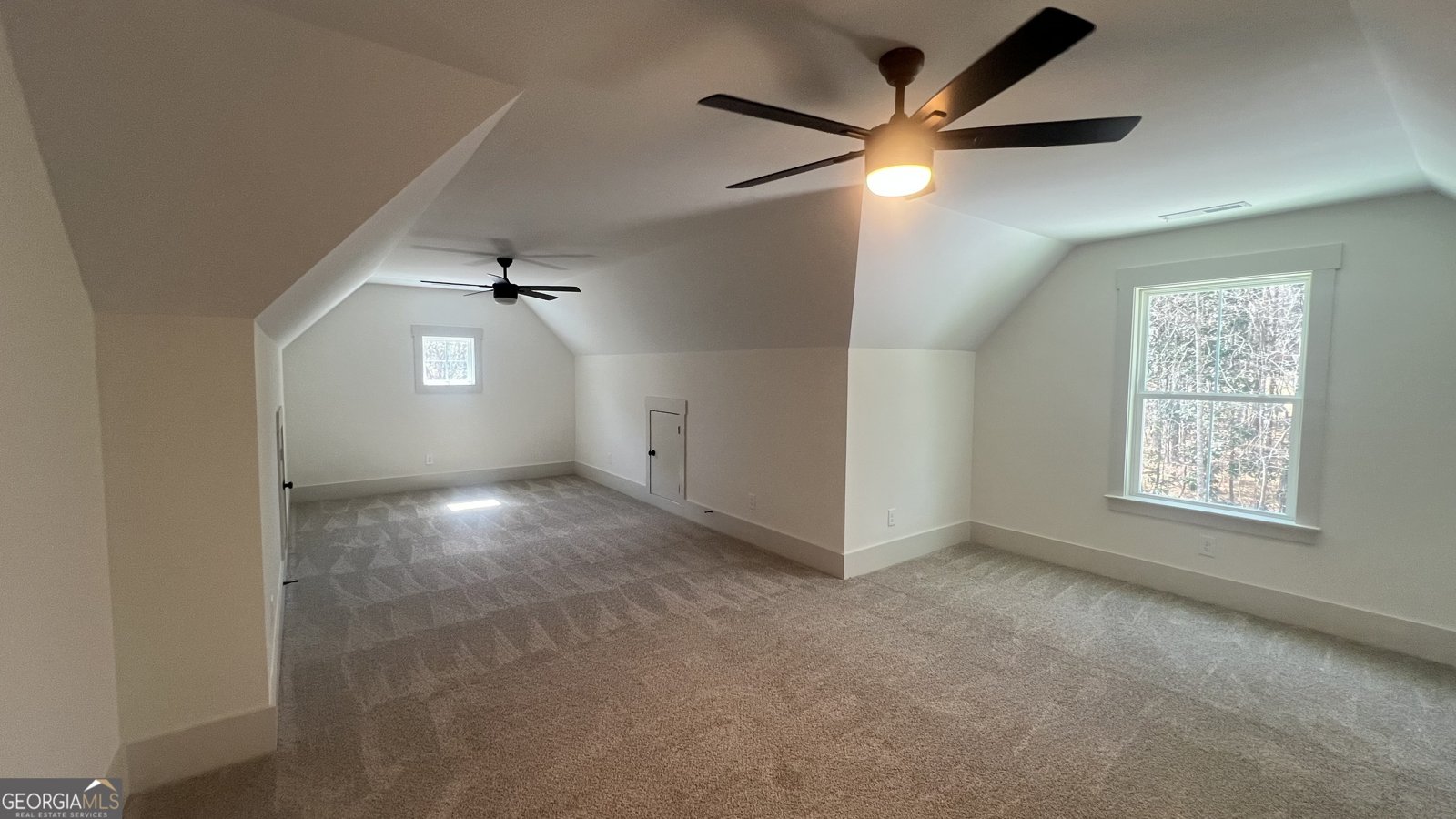110 Farr Lake Drive Tyrone - 21