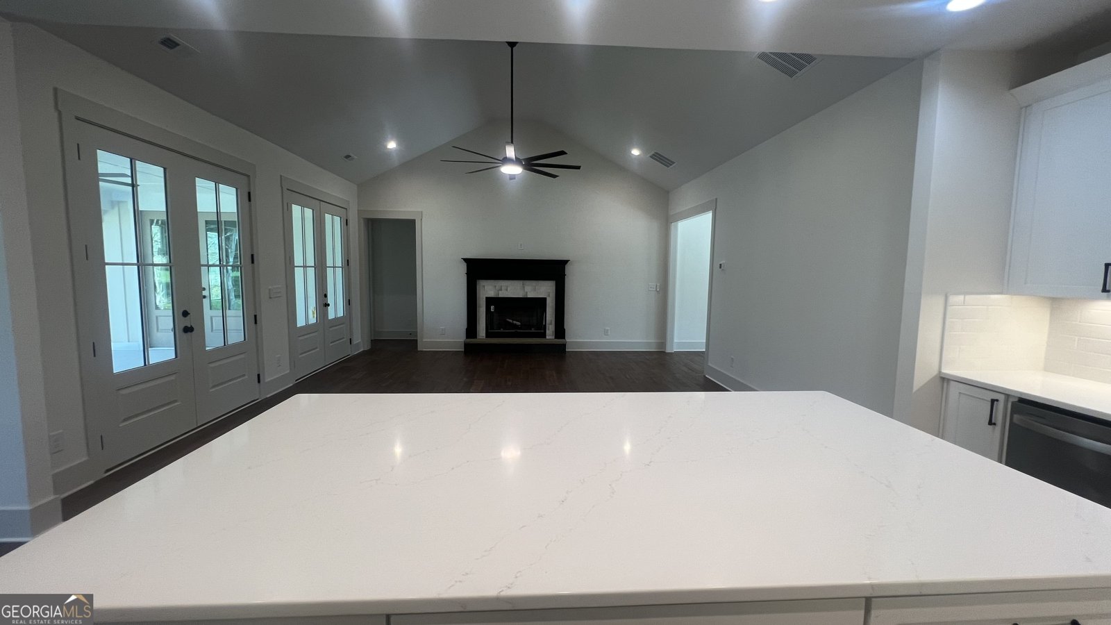 110 Farr Lake Drive Tyrone - 24