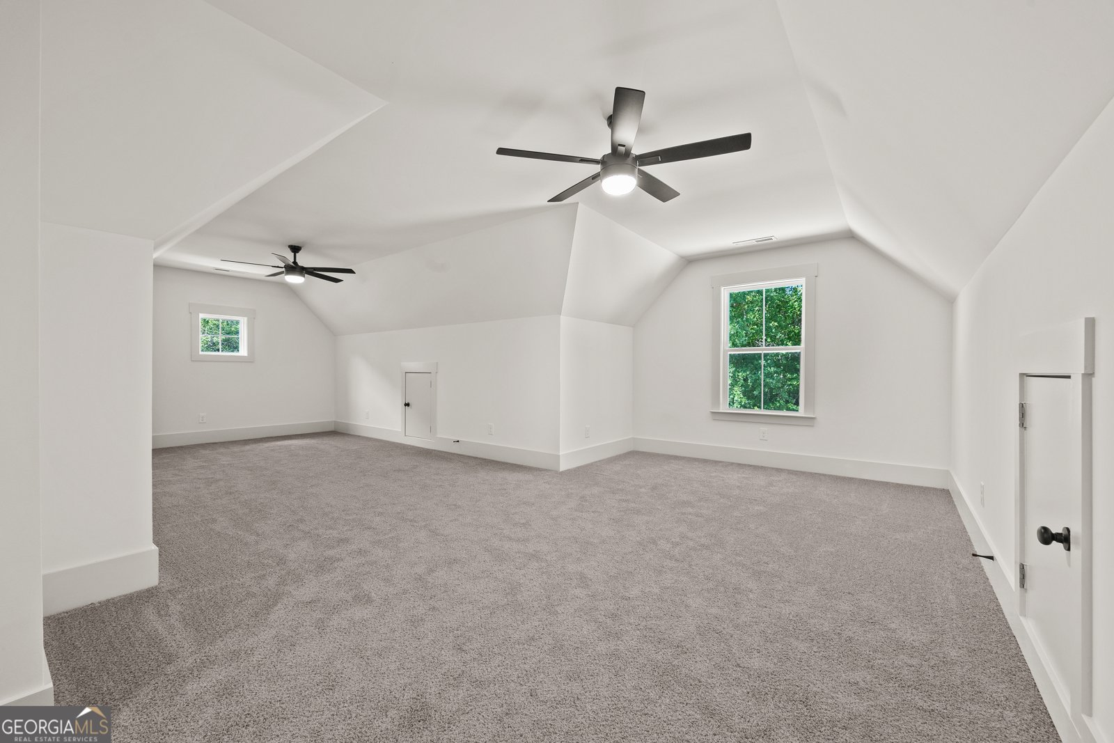 110 Farr Lake Drive Tyrone - 30