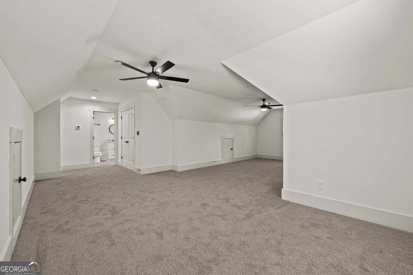 110 Farr Lake Drive Tyrone - 31