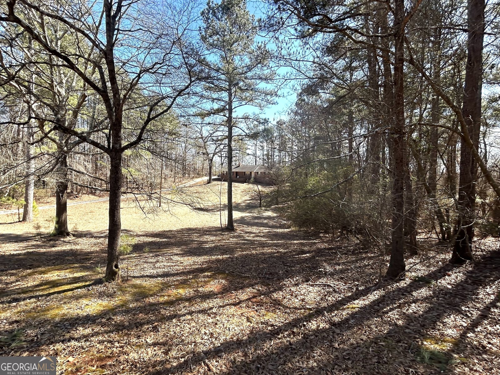 1091 Summer Lake Road Lithia Springs - 2