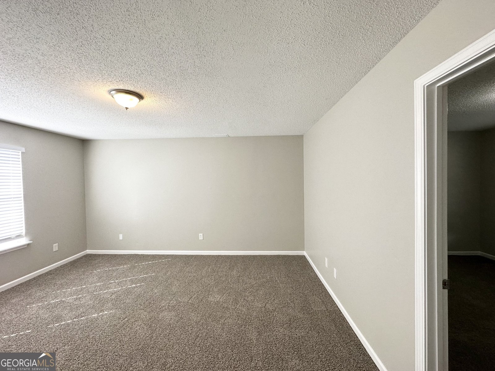 1202 Grove Trail Pass Douglasville - 14
