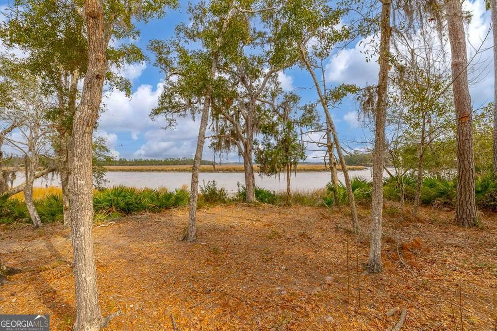 110 Sanderling Trace Waverly - 8