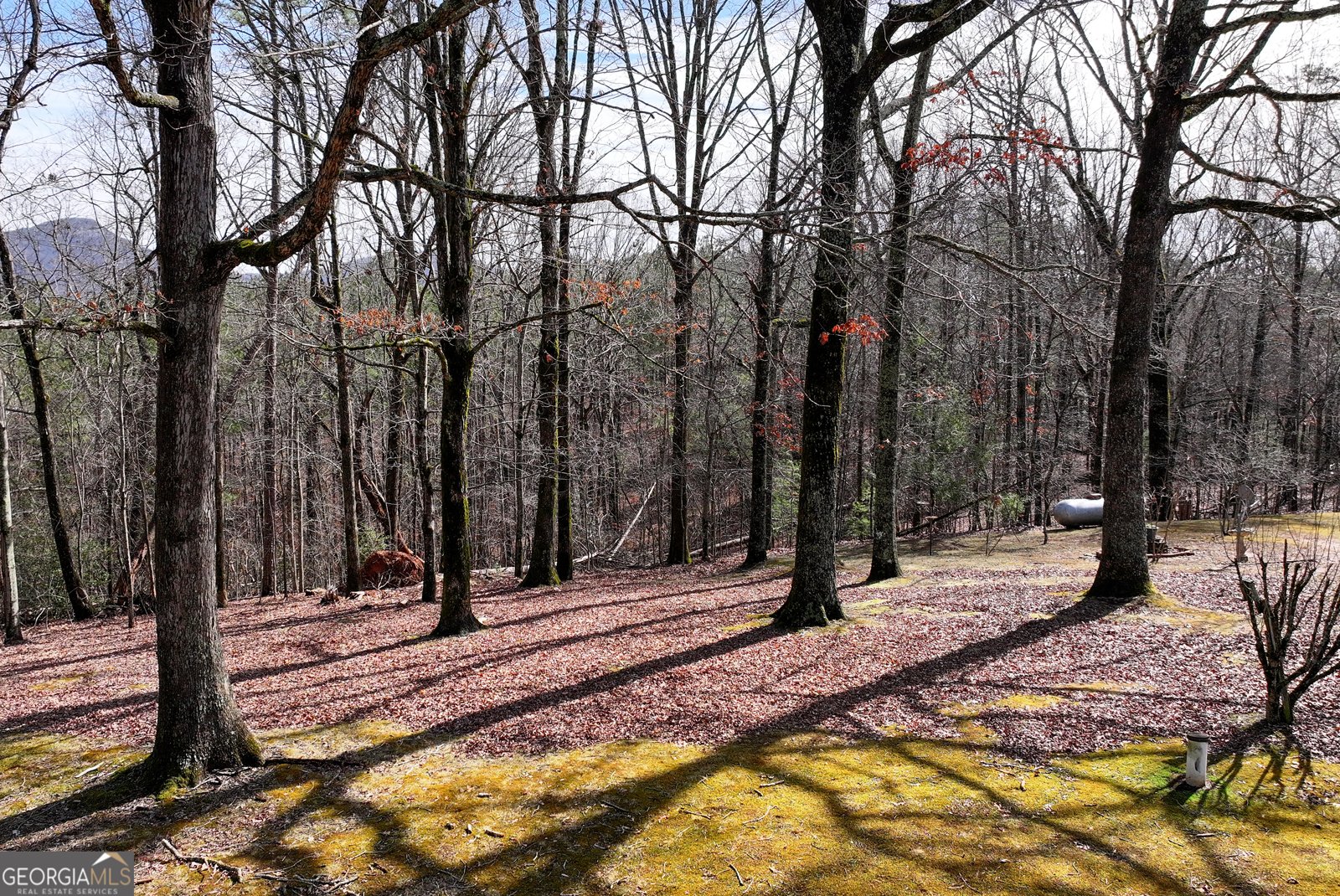 595 Mauldin Road Sautee Nacoochee - 35