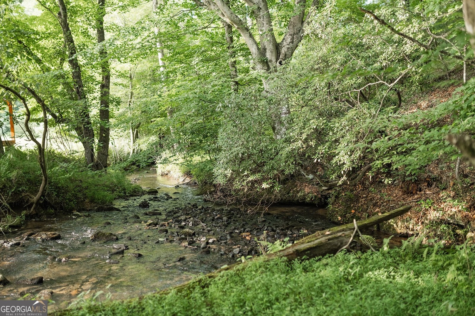 328 Black Ankle Creek Road Cherry Log - 4