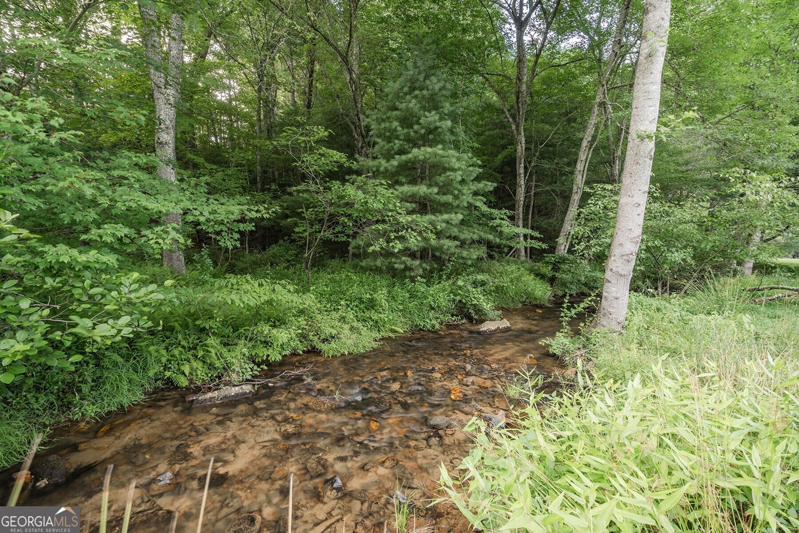 328 Black Ankle Creek Road Cherry Log - 54