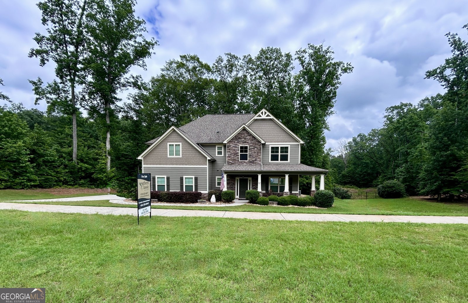 92 Old Bailey Farms Drive Senoia - 2