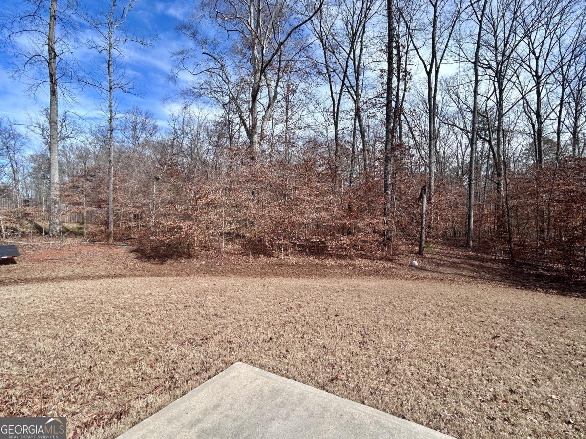 92 Old Bailey Farms Drive Senoia - 31