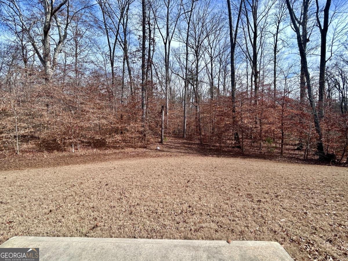 92 Old Bailey Farms Drive Senoia - 32