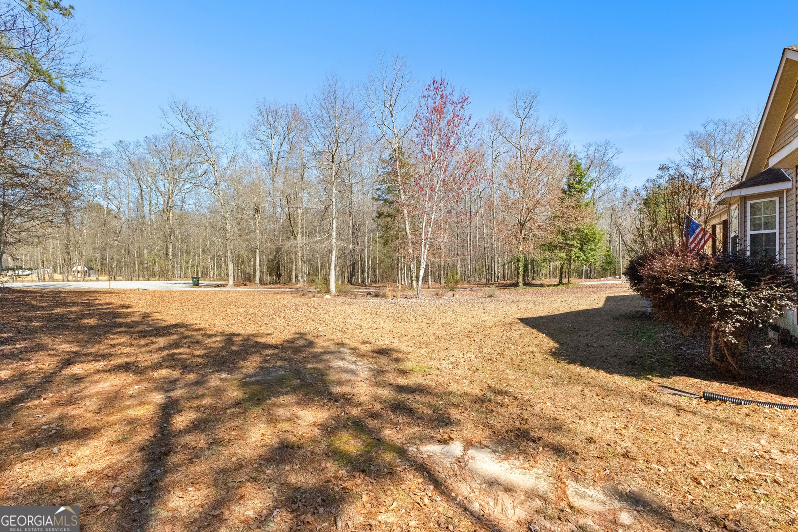 328 Rain Valley Circle Meansville - 8