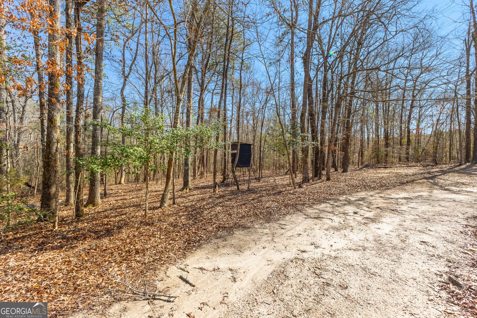 328 Rain Valley Circle Meansville - 9