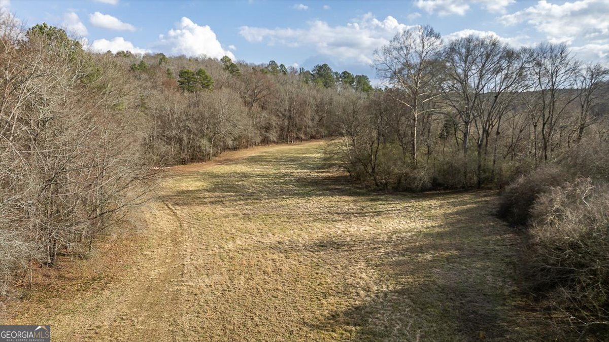 1257 Seymour Road Bowman - 64