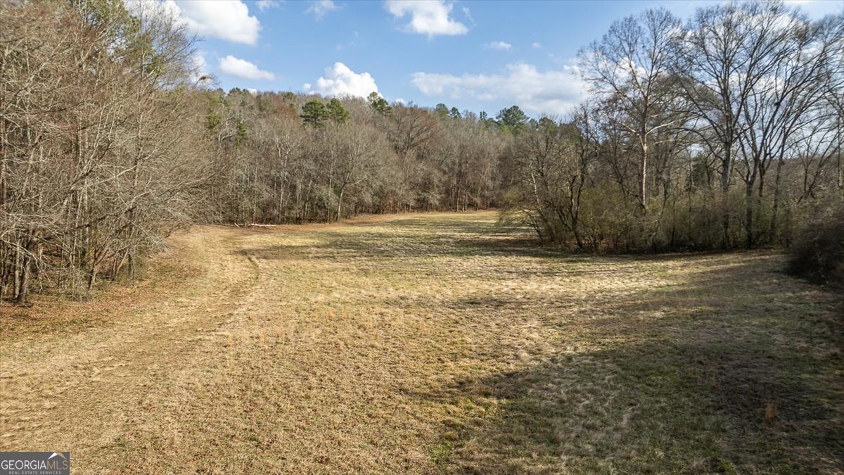 1257 Seymour Road Bowman - 65