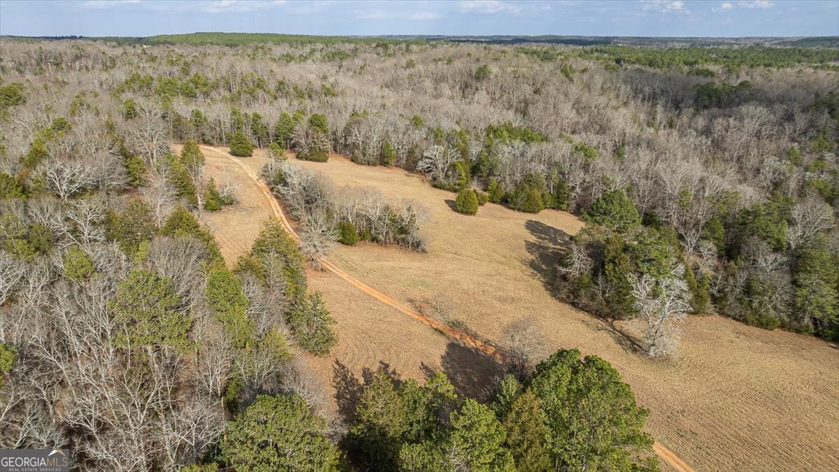 1257 Seymour Road Bowman - 69