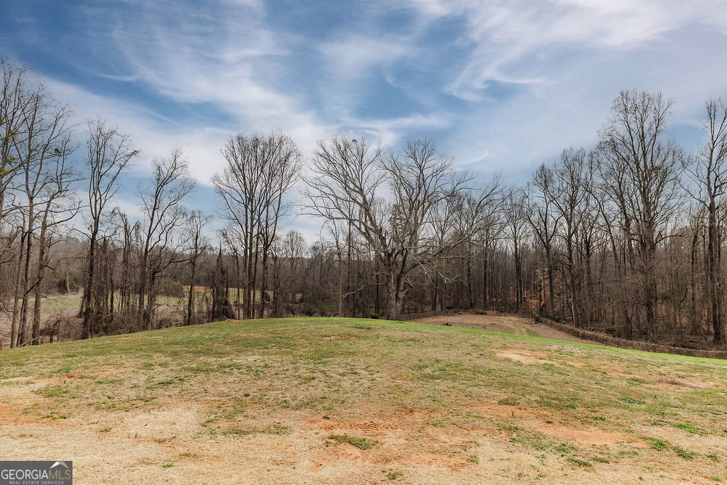 4059 Wildcat Bridge Road Royston - 52