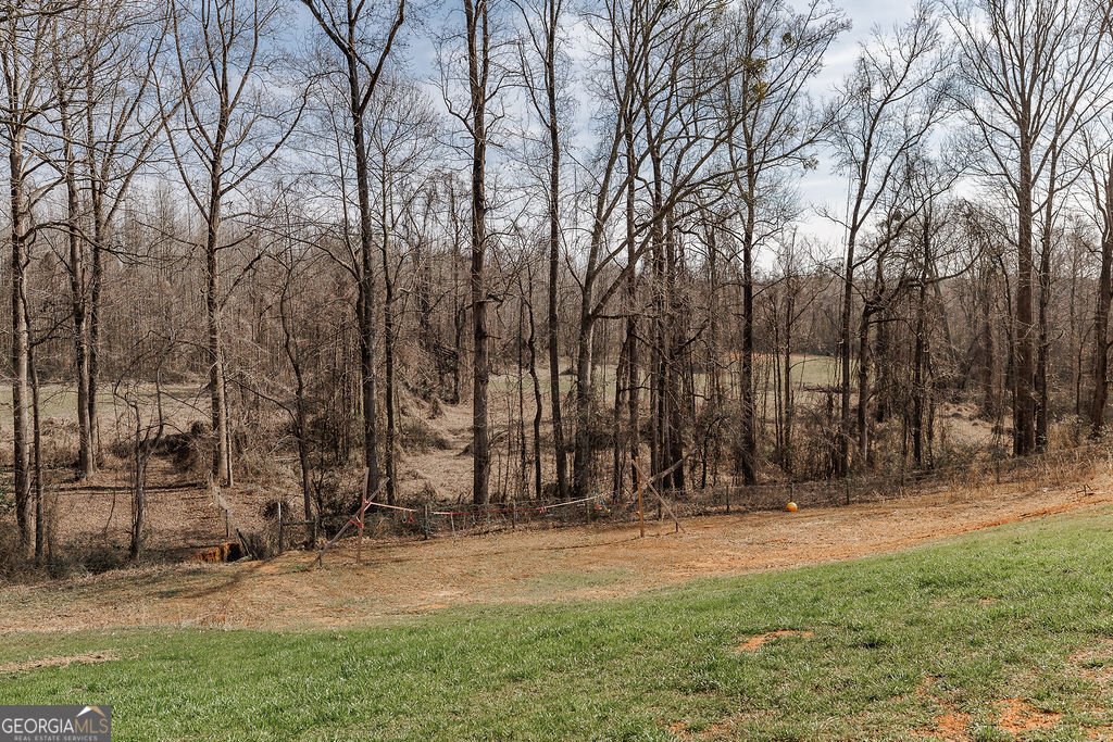 4059 Wildcat Bridge Road Royston - 56