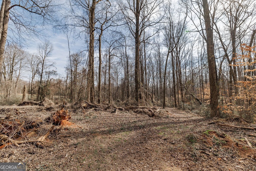4059 Wildcat Bridge Road Royston - 59