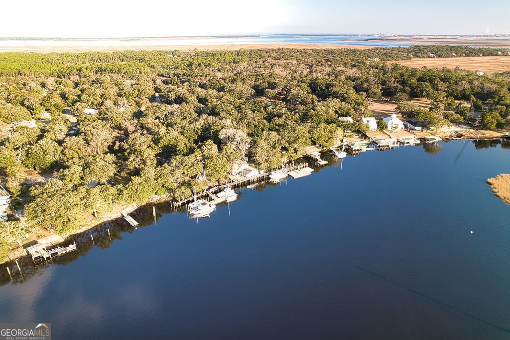 1142 New Point Peter Road St. Marys - 77