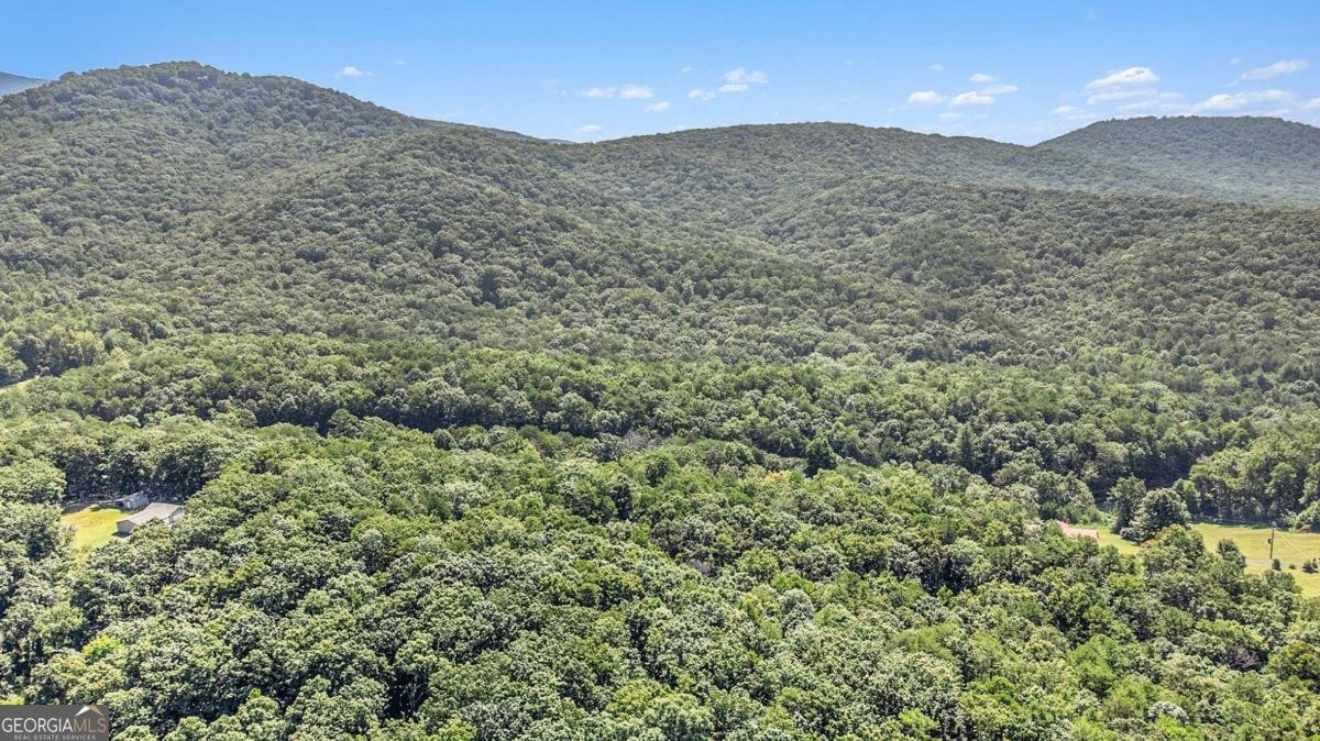 1700 Greenfield Road Ellijay - 16