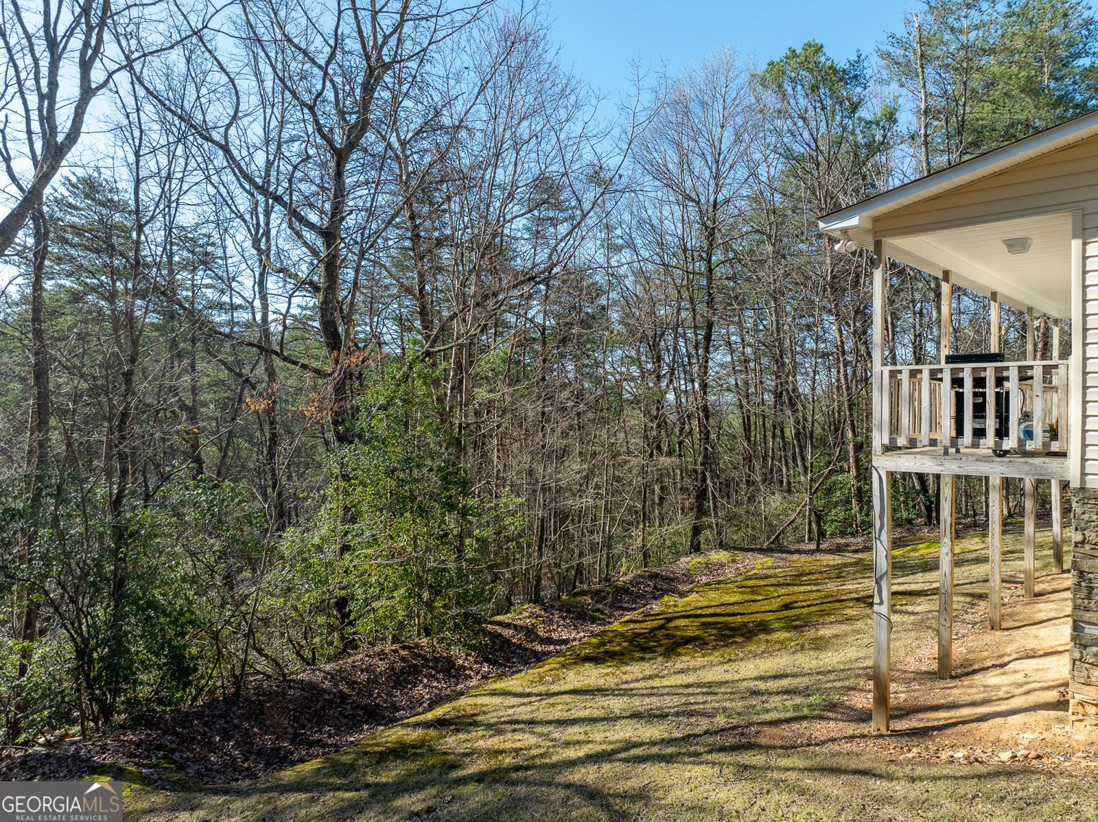 1700 Greenfield Road Ellijay - 20