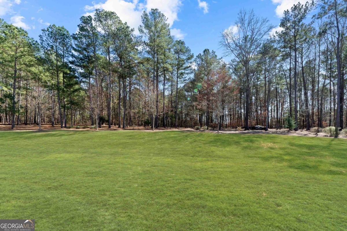 132 Chapel Springs Drive Eatonton - 64