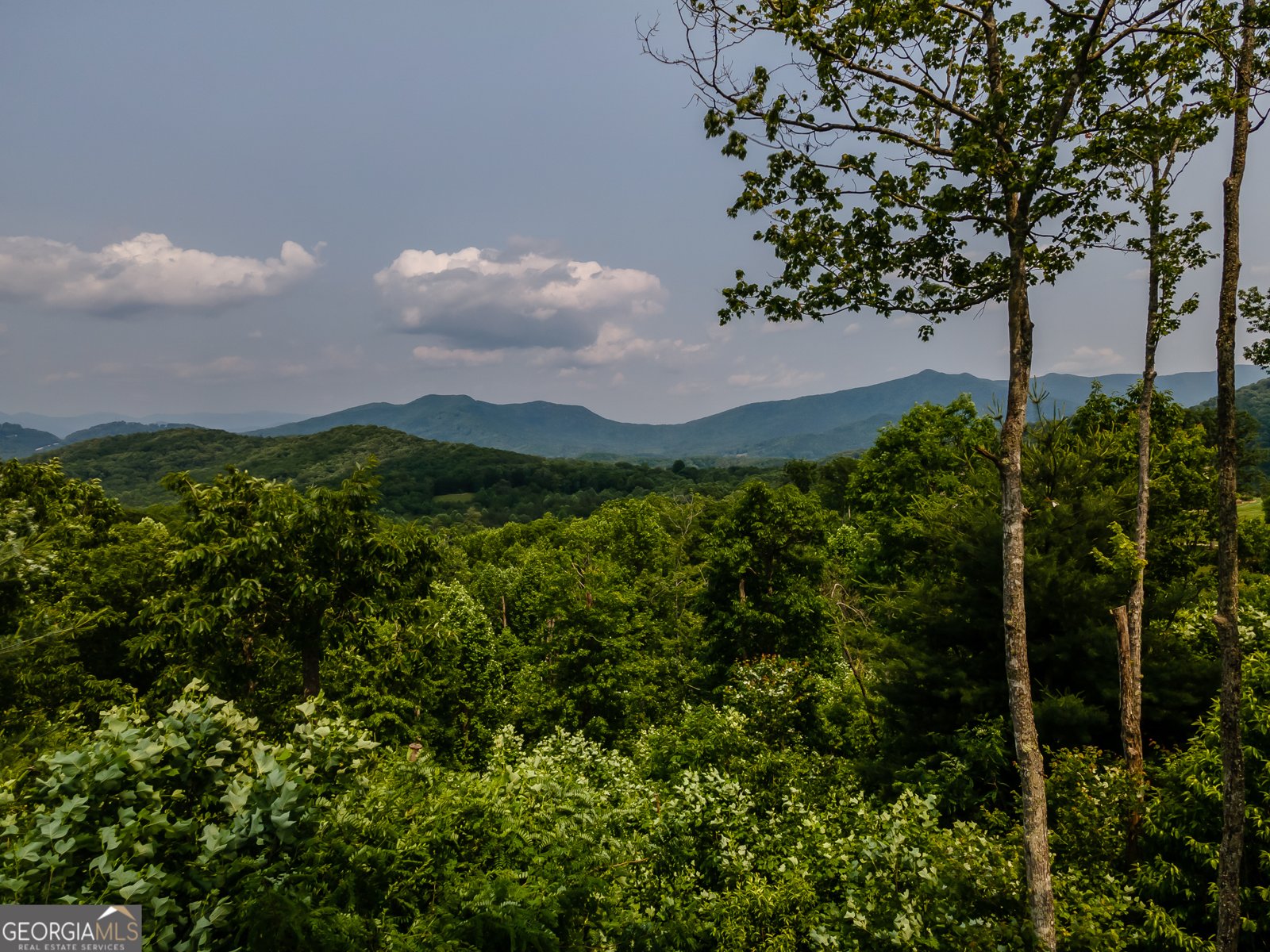 504 Ivy Log Heights Road Young Harris - 33