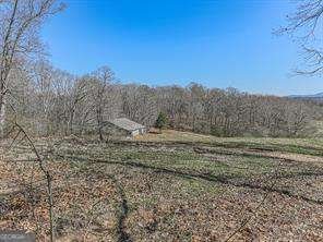 6267 Mount Pisgah Road Ellijay - 37