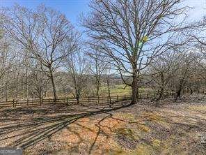 6267 Mount Pisgah Road Ellijay - 4