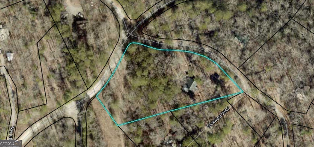 30 CHEYENNE Trail Blue Ridge - 55
