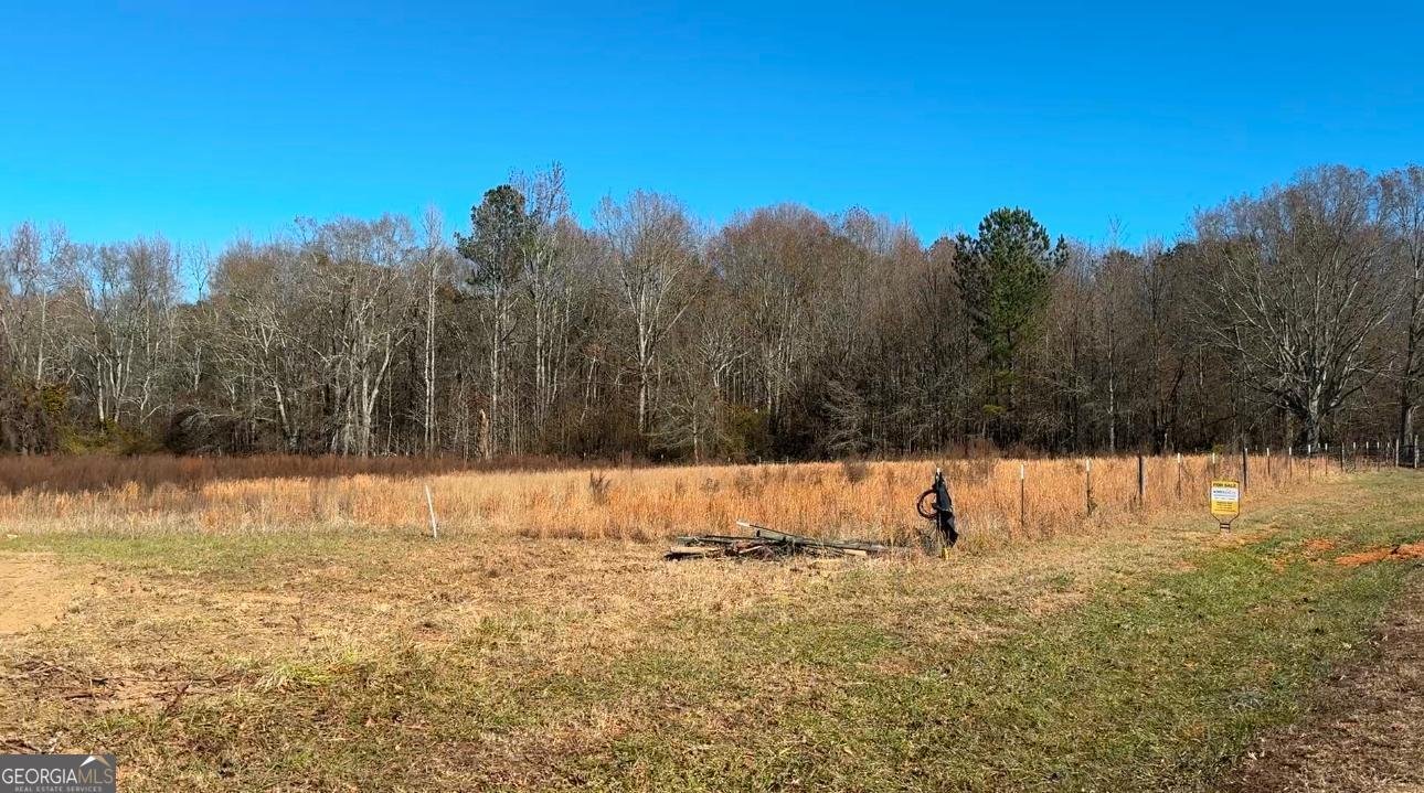 3825 Hall Road Dacula - 1