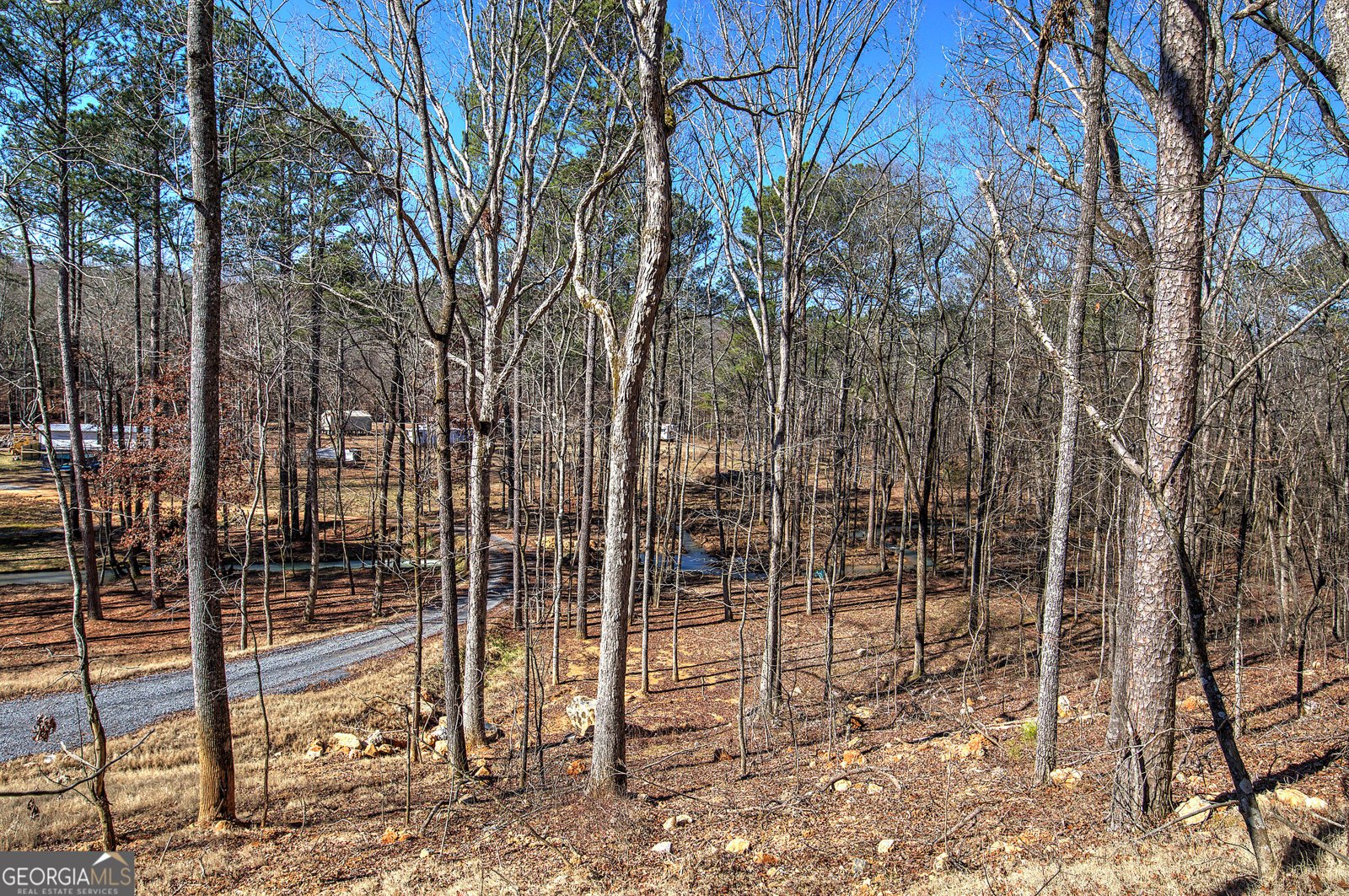 676 Flowery Branch Road Kingston - 2