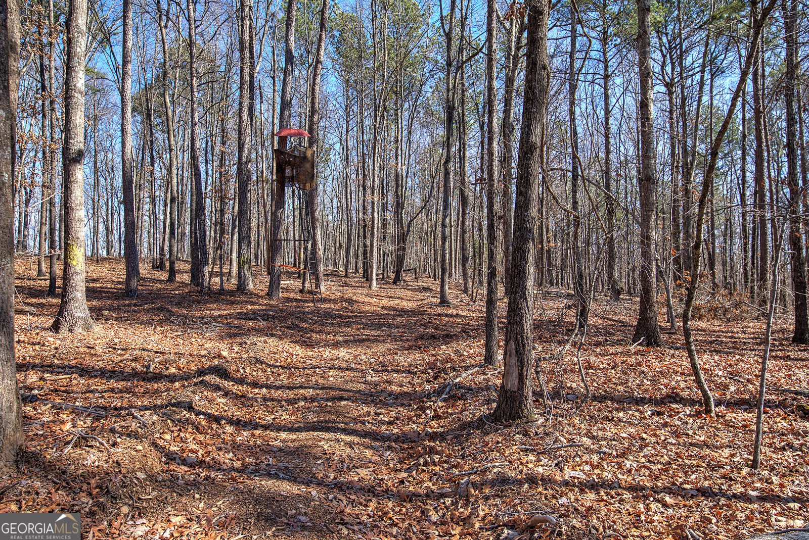 676 Flowery Branch Road Kingston - 48