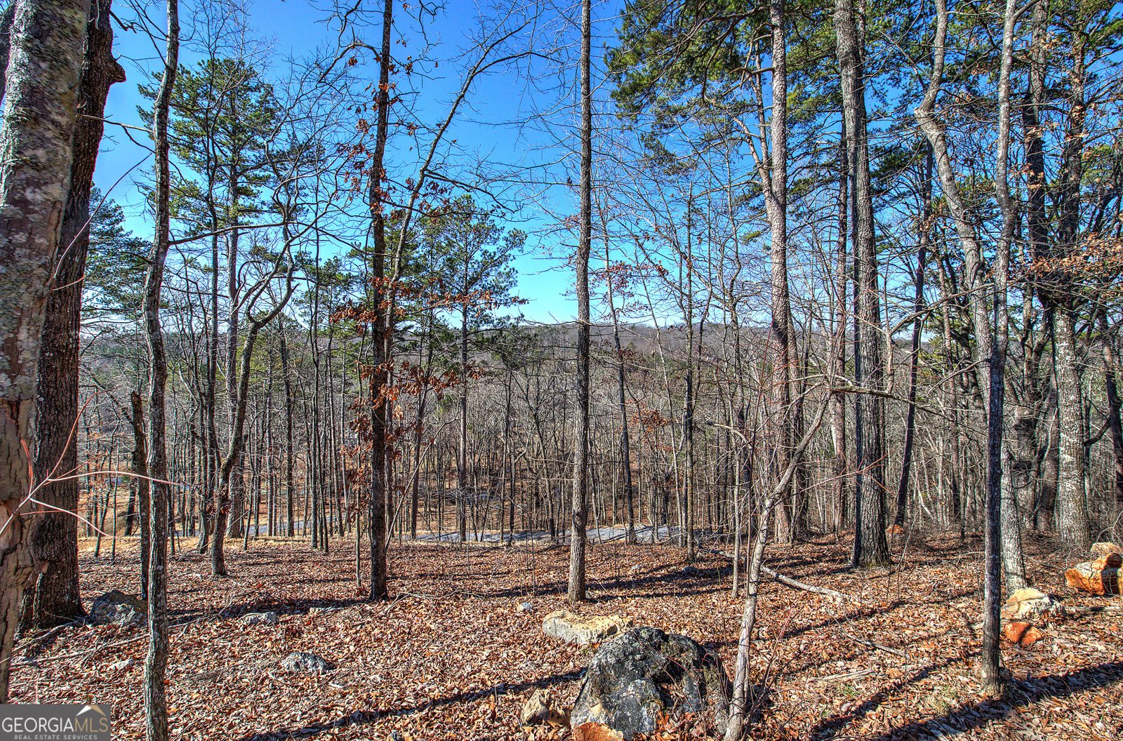 676 Flowery Branch Road Kingston - 57