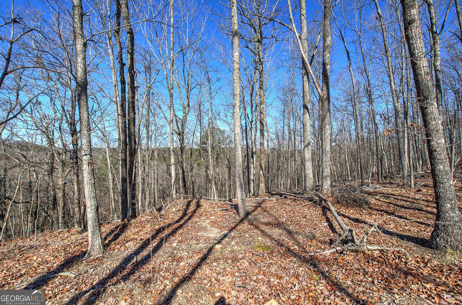 676 Flowery Branch Road Kingston - 60