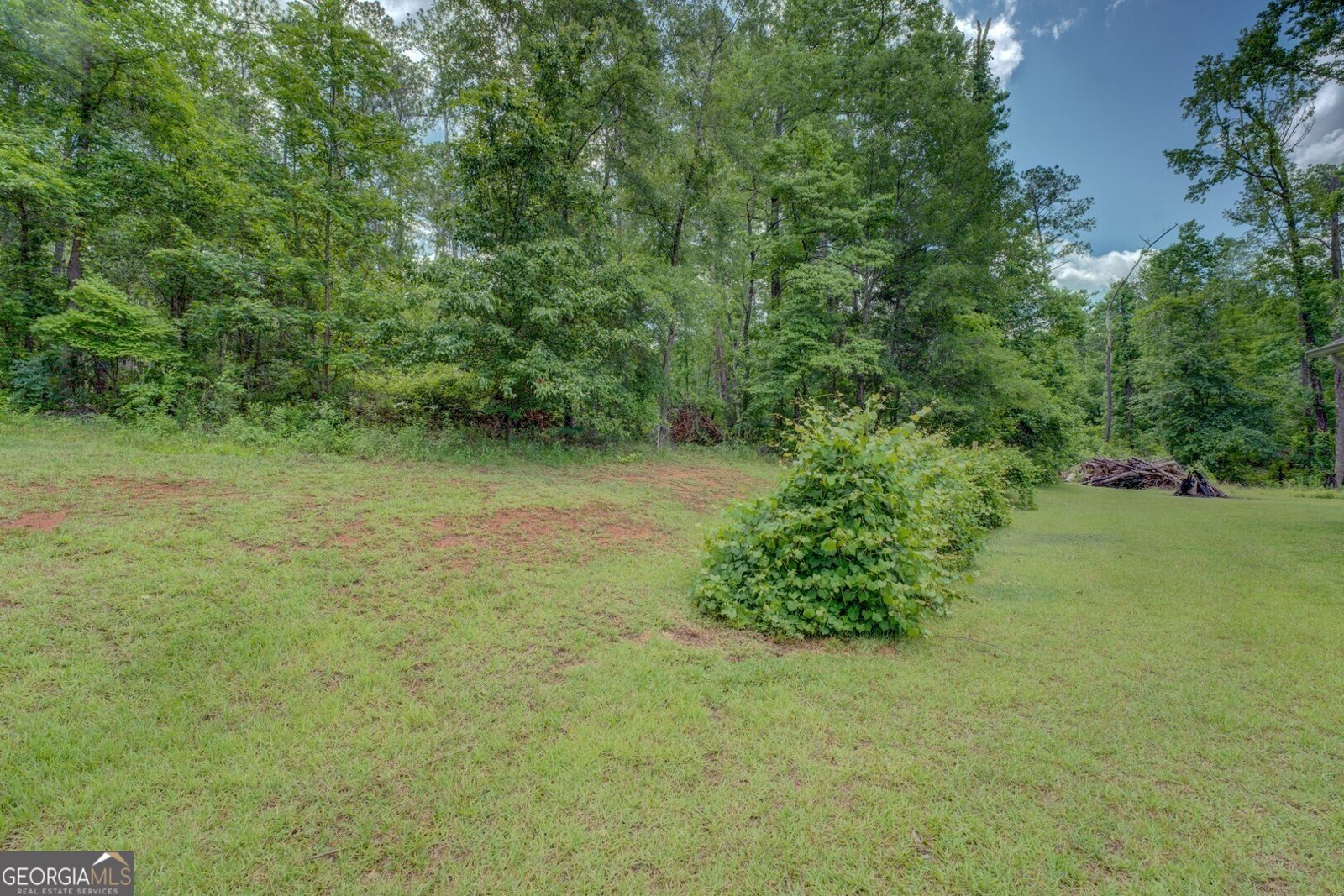 290 Bear Creek Point Mansfield - 7