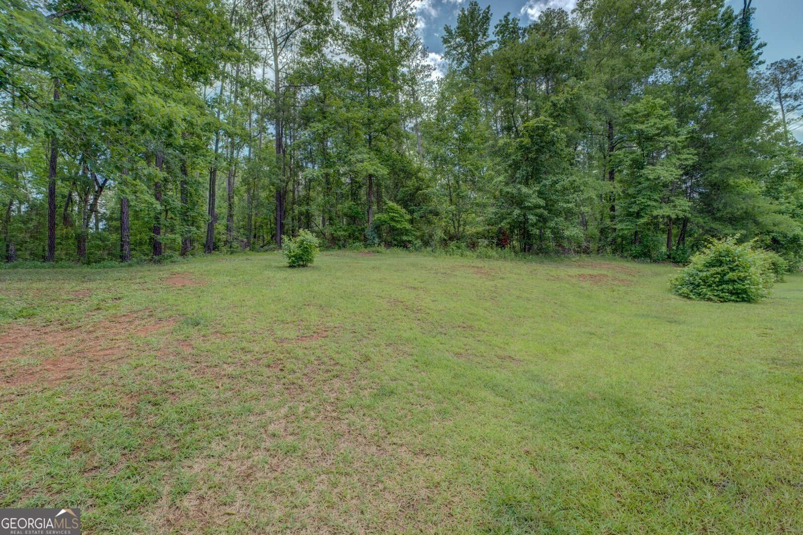 290 Bear Creek Point Mansfield - 8