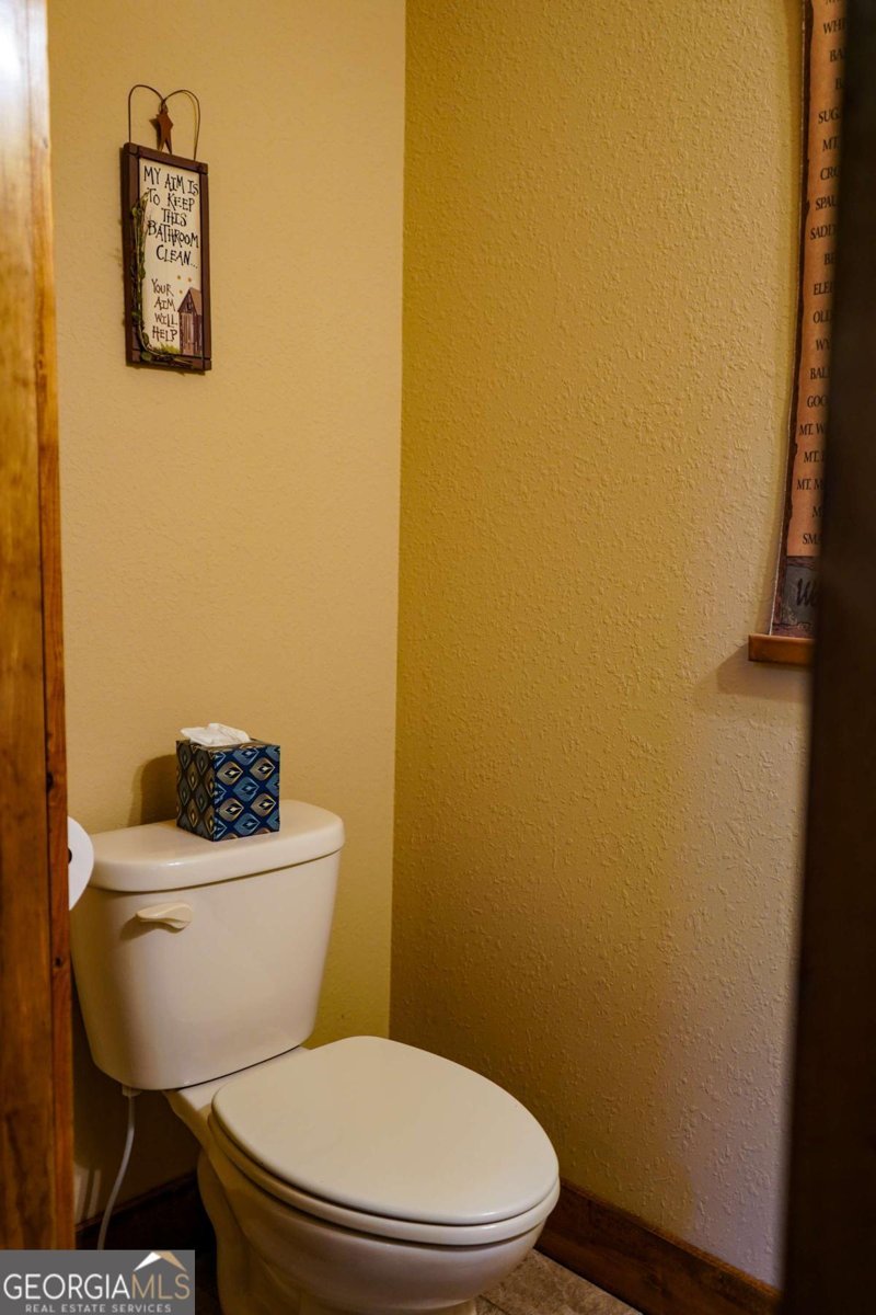 690 Stables Loop Blairsville - 49