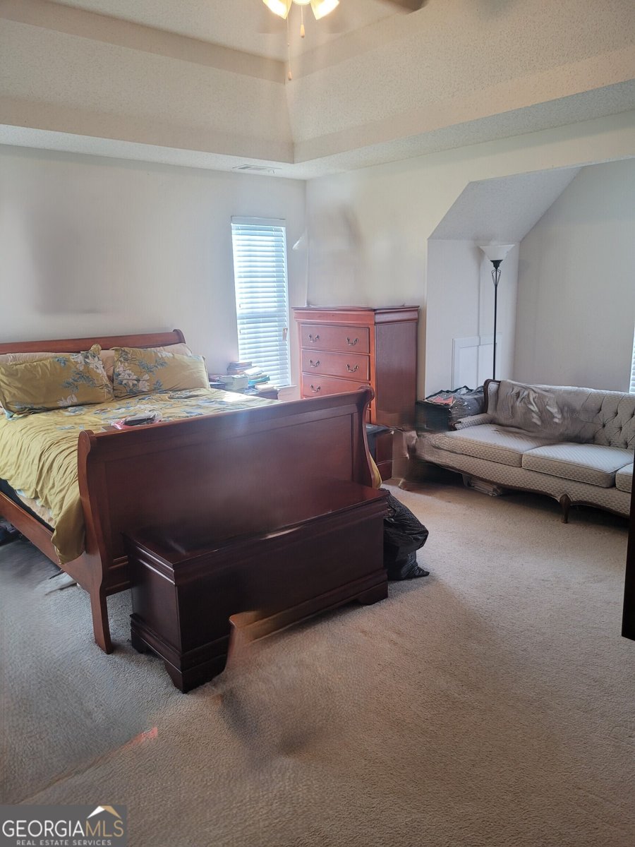 11714 Double Lake Crossing Fayetteville - 14