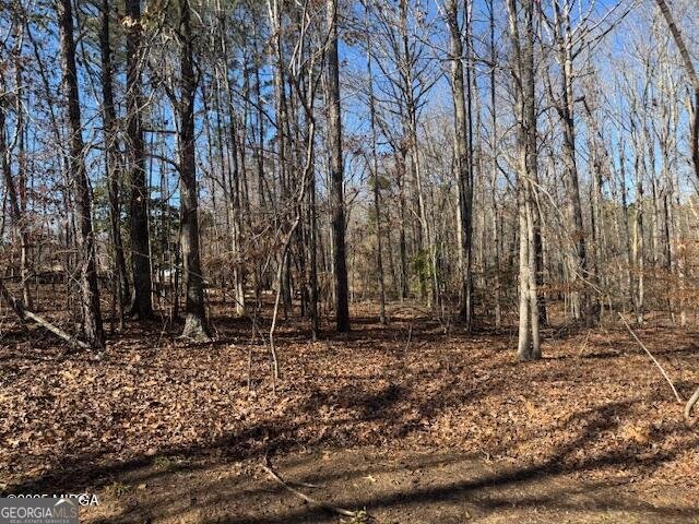 211 Oak Valley Drive Macon - 22