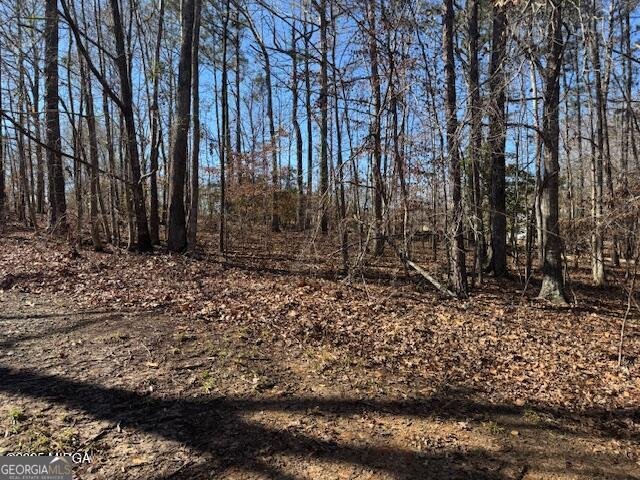211 Oak Valley Drive Macon - 23
