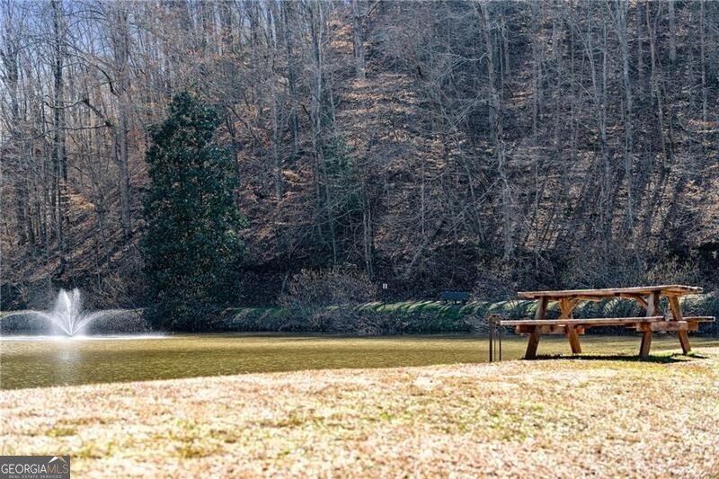 56 Elmwood Circle Ellijay - 36